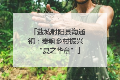 盐城射阳县海通镇：奏响乡村振兴“夏之华章”