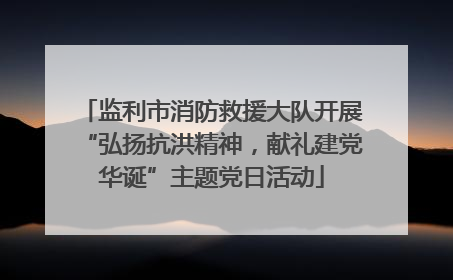 监利市消防救援大队开展“弘扬抗洪精神，献礼建党华诞”主题党日活动