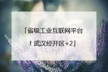 省级工业互联网平台！武汉经开区+2