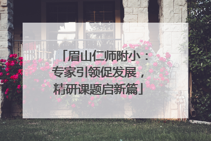 眉山仁师附小：专家引领促发展，精研课题启新篇