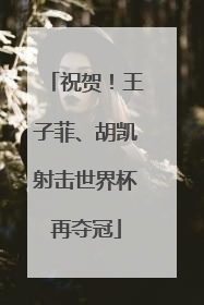 祝贺！王子菲、胡凯射击世界杯再夺冠