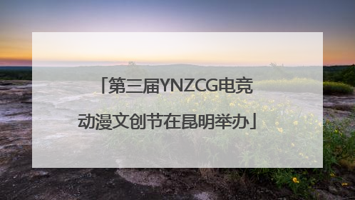 第三届YNZCG电竞动漫文创节在昆明举办