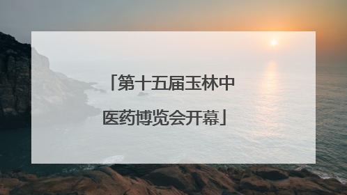 第十五届玉林中医药博览会开幕