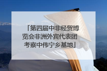 第四届中非经贸博览会非洲外宾代表团考察中伟宁乡基地