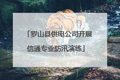 罗山县供电公司开展信通专业防汛演练