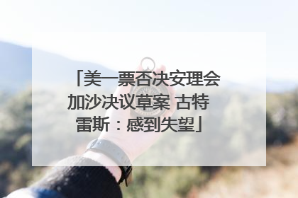 美一票否决安理会加沙决议草案 古特雷斯：感到失望