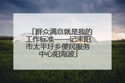 群众满意就是我的工作标准——记耒阳市太平圩乡便民服务中心阳海波