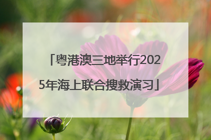 粤港澳三地举行2025年海上联合搜救演习