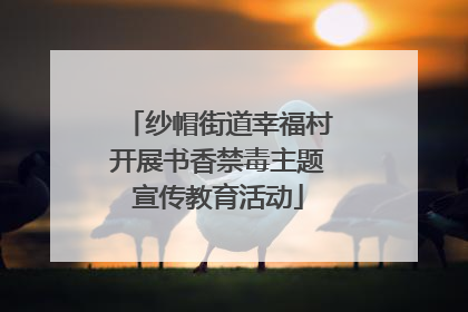 纱帽街道幸福村开展书香禁毒主题宣传教育活动