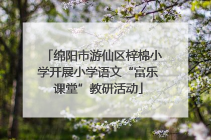 绵阳市游仙区梓棉小学开展小学语文“富乐课堂”教研活动