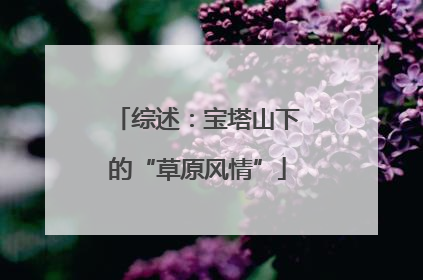 综述：宝塔山下的“草原风情”