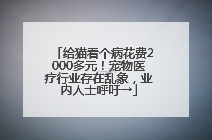 给猫看个病花费2000多元！宠物医疗行业存在乱象，业内人士呼吁→