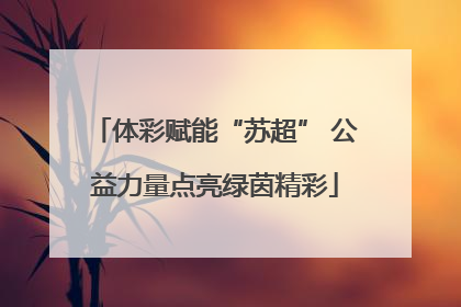 体彩赋能“苏超” 公益力量点亮绿茵精彩