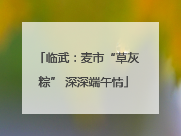 临武：麦市“草灰粽” 深深端午情