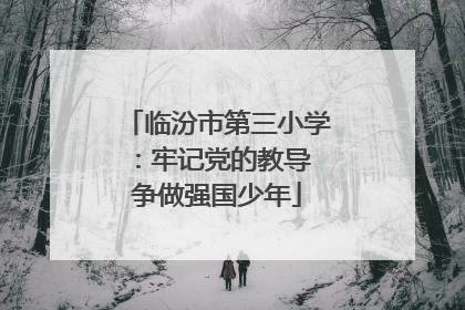 临汾市第三小学：牢记党的教导 争做强国少年