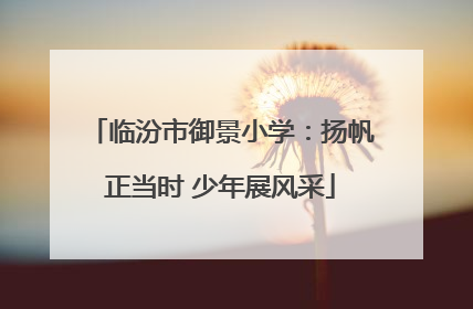 临汾市御景小学：扬帆正当时 少年展风采