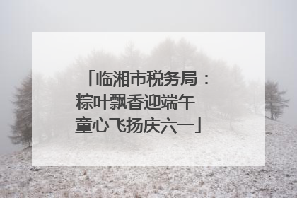临湘市税务局：粽叶飘香迎端午 童心飞扬庆六一