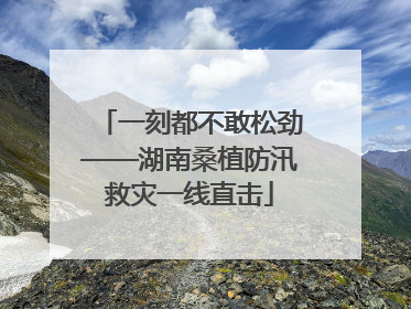 一刻都不敢松劲——湖南桑植防汛救灾一线直击