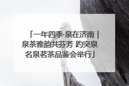 一年四季·泉在济南｜泉茶雅韵共芬芳 趵突泉名泉茗茶品鉴会举行