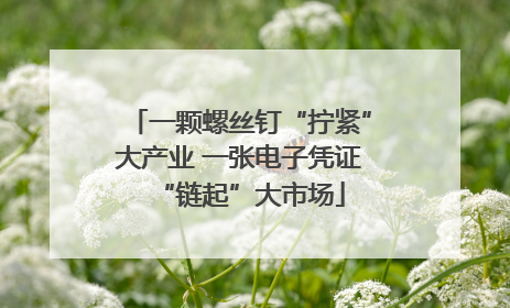 一颗螺丝钉“拧紧”大产业 一张电子凭证“链起”大市场