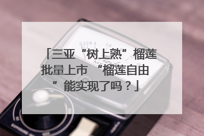三亚“树上熟”榴莲批量上市 “榴莲自由”能实现了吗？