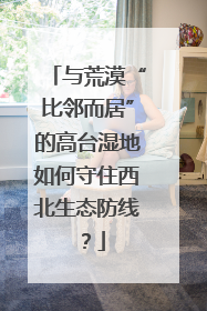 与荒漠“比邻而居”的高台湿地如何守住西北生态防线？