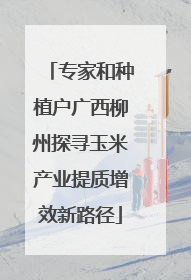 专家和种植户广西柳州探寻玉米产业提质增效新路径