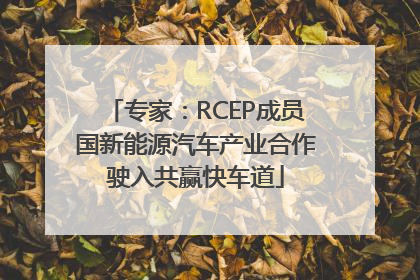 专家：RCEP成员国新能源汽车产业合作驶入共赢快车道