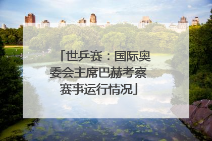 世乒赛：国际奥委会主席巴赫考察赛事运行情况