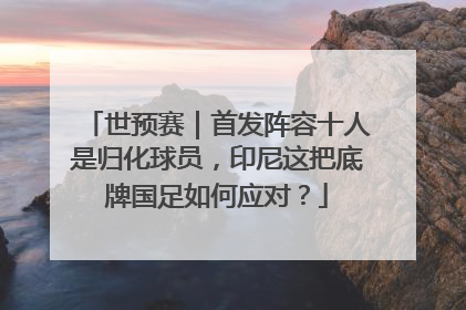 世预赛｜首发阵容十人是归化球员，印尼这把底牌国足如何应对？