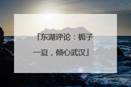 东湖评论：栀子一夏，倾心武汉