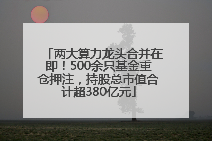 两大算力龙头合并在即！500余只基金重仓押注，持股总市值合计超380亿元