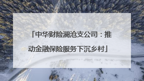 中华财险澜沧支公司：推动金融保险服务下沉乡村