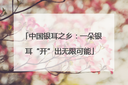 中国银耳之乡：一朵银耳“开”出无限可能