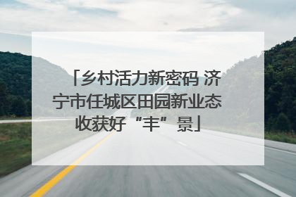 乡村活力新密码 济宁市任城区田园新业态收获好“丰”景