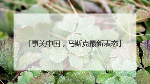 事关中国，马斯克最新表态