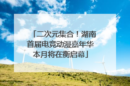 二次元集合！湖南首届电竞动漫嘉年华本月将在衡启幕