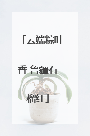 云端粽叶香 鲁疆石榴红