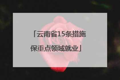 云南省15条措施保重点领域就业