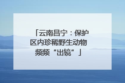 云南昌宁：保护区内珍稀野生动物频频“出镜”