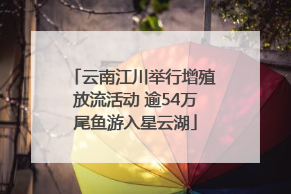 云南江川举行增殖放流活动 逾54万尾鱼游入星云湖