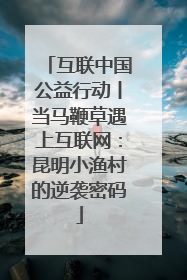 互联中国公益行动丨当马鞭草遇上互联网：昆明小渔村的逆袭密码