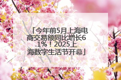 今年前5月上海电商交易额同比增长6.1%！2025上海数字生活节开幕