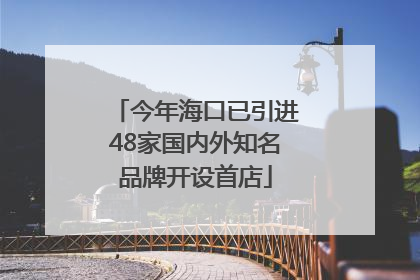 今年海口已引进48家国内外知名品牌开设首店