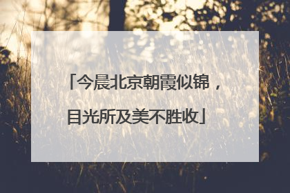 今晨北京朝霞似锦，目光所及美不胜收