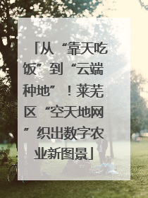 从“靠天吃饭”到“云端种地”！莱芜区“空天地网”织出数字农业新图景