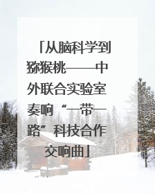 从脑科学到猕猴桃——中外联合实验室奏响“一带一路”科技合作交响曲