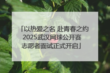 以热爱之名 赴青春之约 2025武汉网球公开赛志愿者面试正式开启