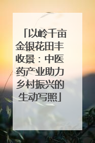 以岭千亩金银花田丰收景：中医药产业助力乡村振兴的生动写照