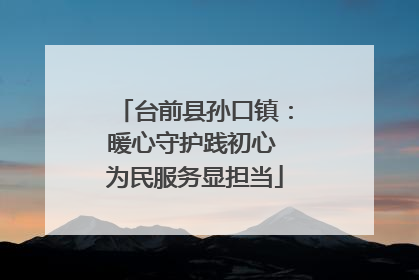 台前县孙口镇：暖心守护践初心 为民服务显担当